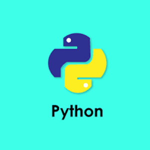 Online Python Programming Course Online Python Programming Course